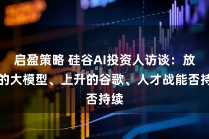 启盈策略 硅谷AI投资人访谈：放缓的大模型、上升的谷歌、人才战能否持续